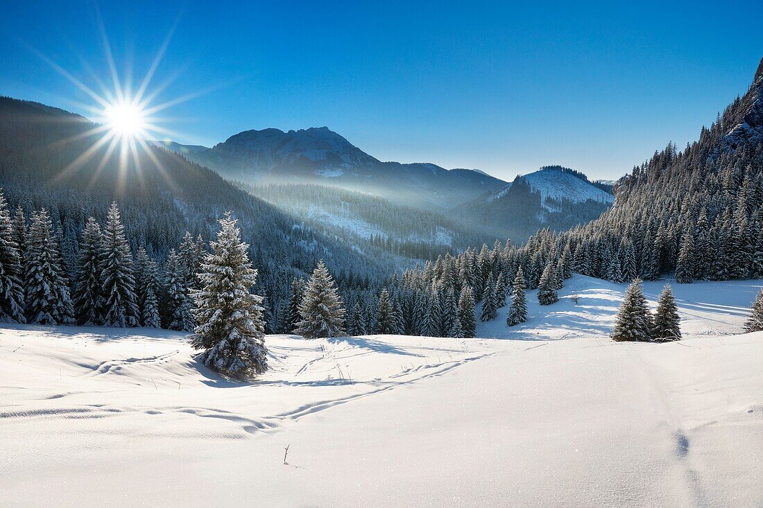 Przyslup Mietusi, Tatra National Park, Poland, Europe