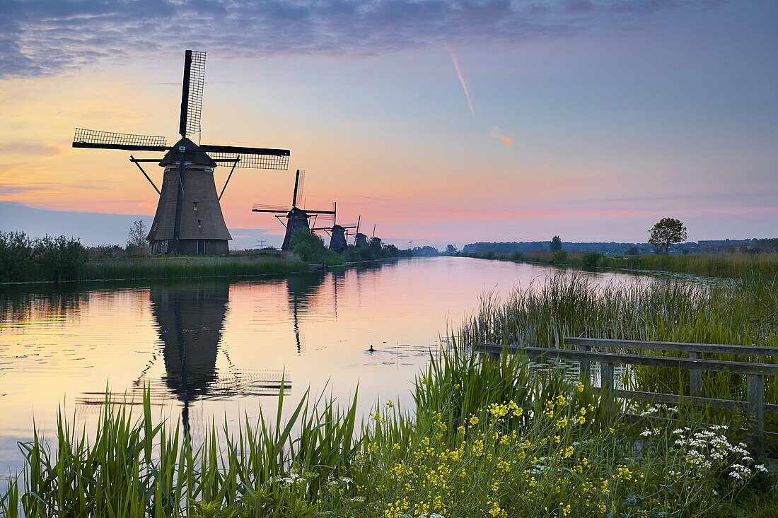 Kinderdijk windmills - Holland Netherlands.
