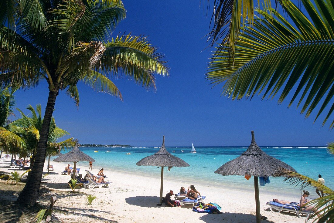 Trou aux biches beach, Mauritius Island  Indian Ocean