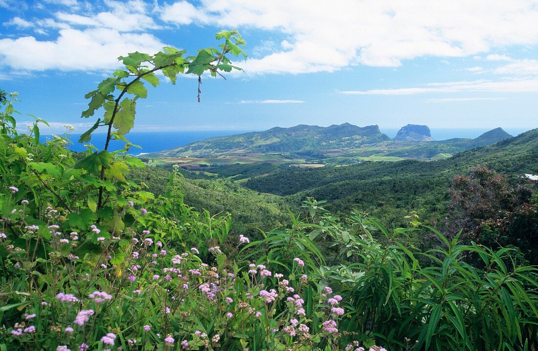 View to the south from Chamarel region, summits Piton des Fouges (left) and Le Morne Brabant (right), Mauritius Island, Indian Ocean