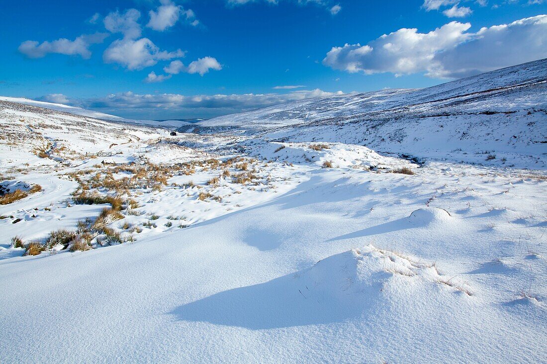 England, Northumberland, Northumberland National Park  Snow on the Cheviot Hills near Comb Fell and the Breamish Valley
