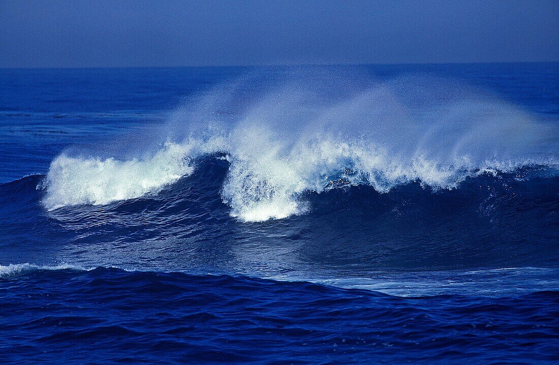 WAVE IN PACIFIC OCEAN, CALIFORNIA