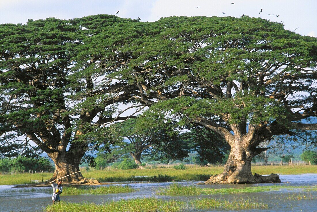 Sri Lanka, Tissamaharama, Tissa Wewa Tank