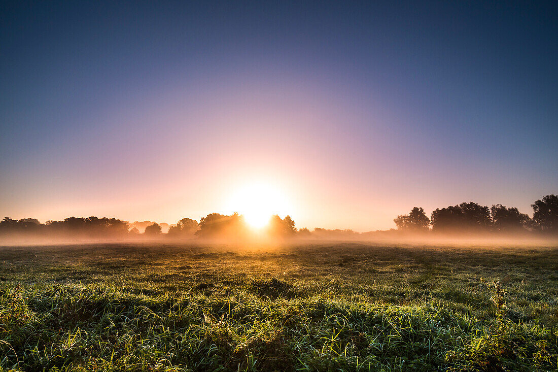 Sunrise, Worpswede, Teufelsmoor, Lower Saxony, Germany