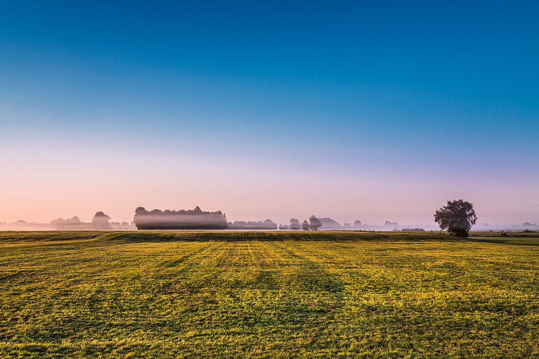 Morning mist over a field, Worpswede, Teufelsmoor, Lower Saxony, Germany