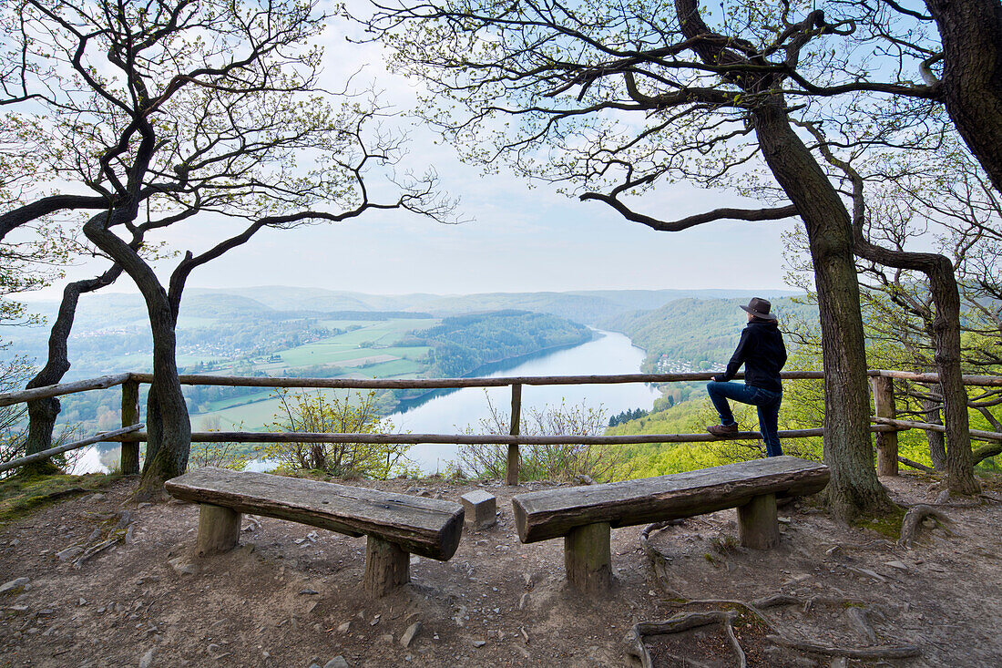 Ranger blickt auf den Edersee vom Aussichtspunkt Kahle Hard Route bei Bringhausen im Nationalpark Kellerwald-Edersee, Nordhessen, Hessen, Deutschland, Europa