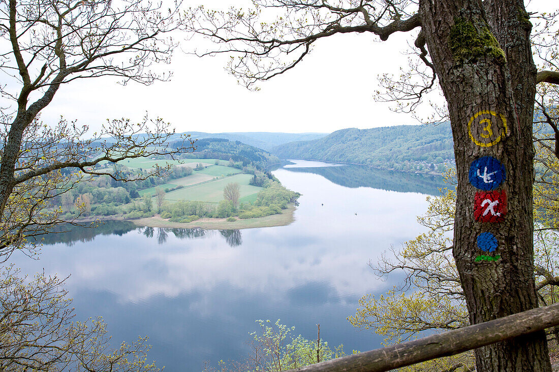 Blick auf den Edersee von der Kahle Hard Route mit Wegbezeichung an einem Baumstamm bei Bringhausen im Nationalpark Kellerwald-Edersee, Nordhessen, Hessen, Deutschland, Europa