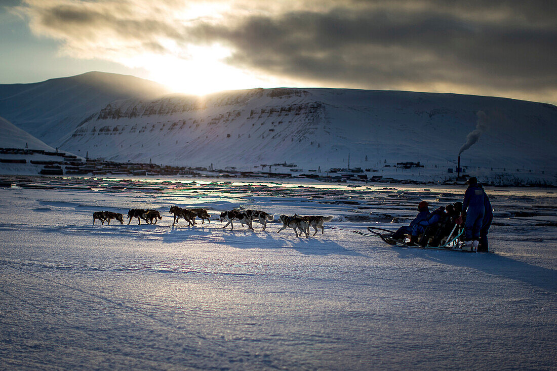 Dog sledge in winter, Longyearbyen, Spitzbergen in the background, Spitzbergen, Svalbard, Norway