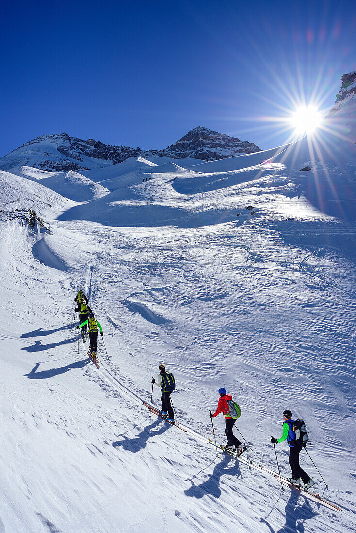 Several persons back-country skiing ascending towards Kleiner Kaserer, Olperer in the background, Kleiner Kaserer, valley of Schmirn, Zillertal Alps, Tyrol, Austria