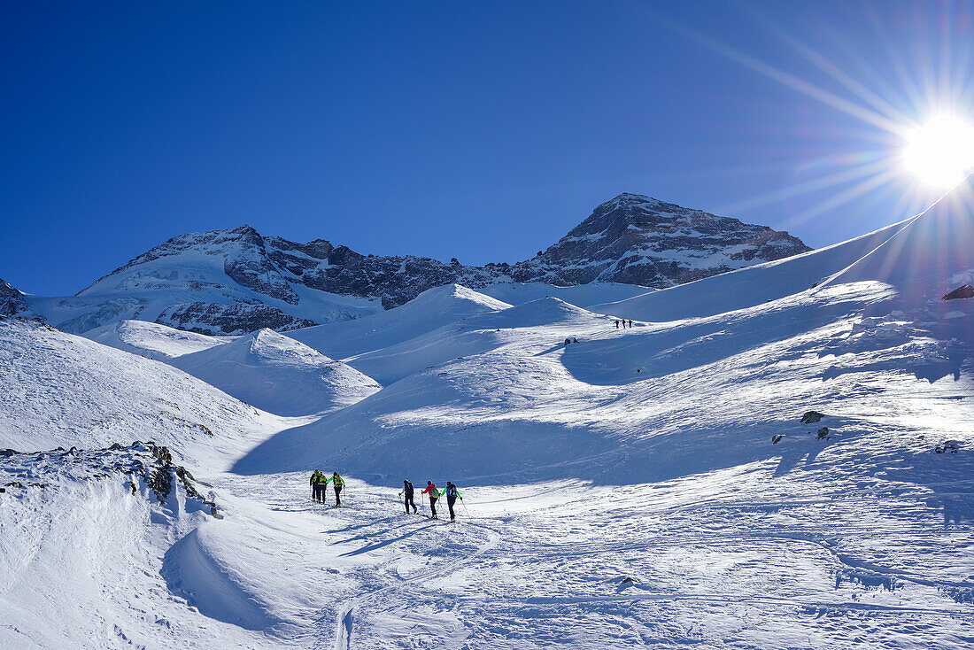 Several persons back-country skiing ascending towards Kleiner Kaserer, Olperer in the background, Kleiner Kaserer, valley of Schmirn, Zillertal Alps, Tyrol, Austria