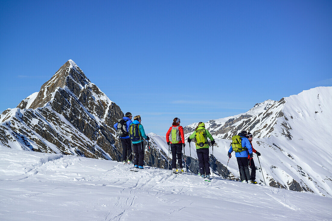Several persons back-country skiing looking towards mountain panorama, Hornspitze in background, Frauenwand, valley of Schmirn, Zillertal Alps, Tyrol, Austria
