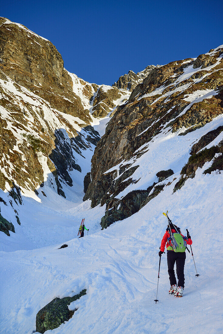 Zwei Personen auf Skitour steigen zu Fuß durch steile Rinne zur Schneespitze auf, Schneespitze, Pflerschtal, Stubaier Alpen, Südtirol, Italien