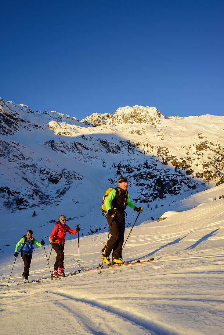 Three persons back-country skiing ascending towards Schneespitze, Schneespitze, valley of Pflersch, Stubai Alps, South Tyrol, Italy