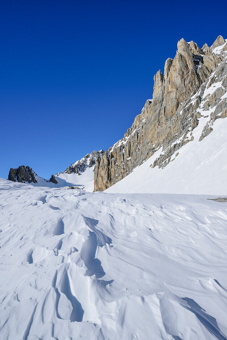 Windgangeln vor Felswänden des Monte Sautron, Valle Maira, Cottische Alpen, Piemont, Italien