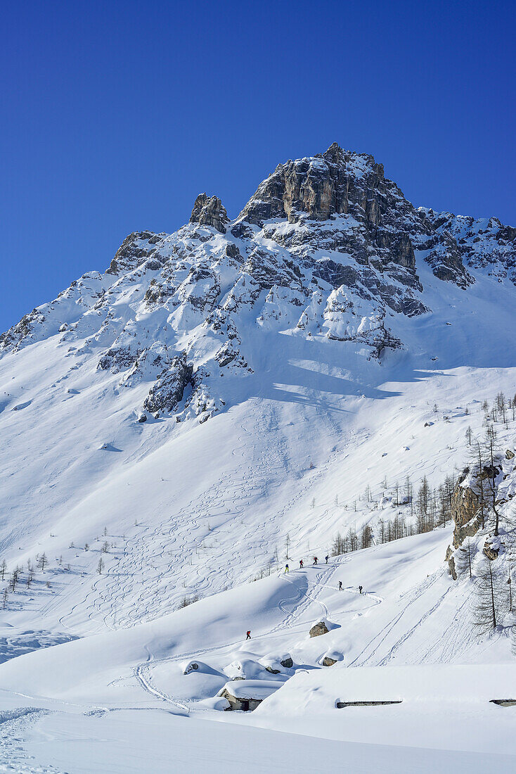 Mehrere Personen auf Skitour steigen zum Passo Croce auf, Cobre im Hintergrund, Passo Croce, Valle Maira, Cottische Alpen, Piemont, Italien