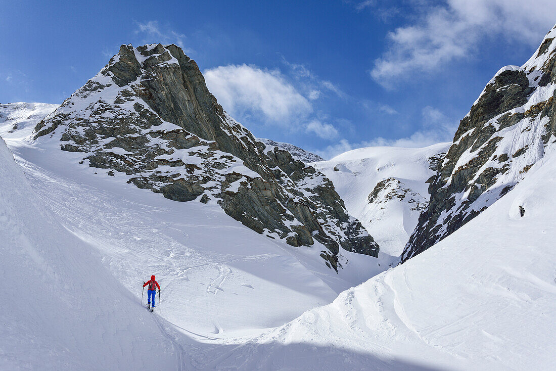 Frau auf Skitour steigt zum Monte Faraut auf, Monte Faraut, Valle Varaita, Cottische Alpen, Piemont, Italien