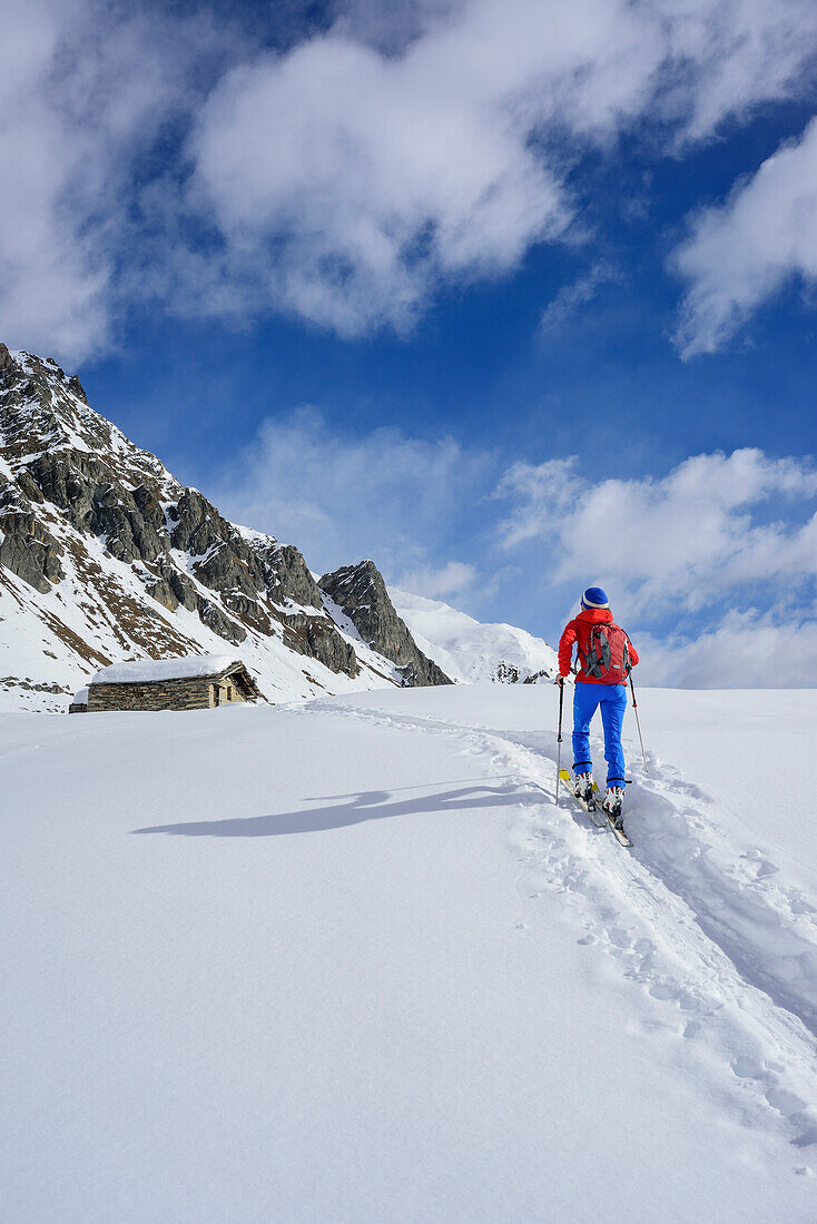 Woman back-country skiing walking towards snow-covered alpine hut, Monte Faraut, Valle Varaita, Cottian Alps, Piedmont, Italy