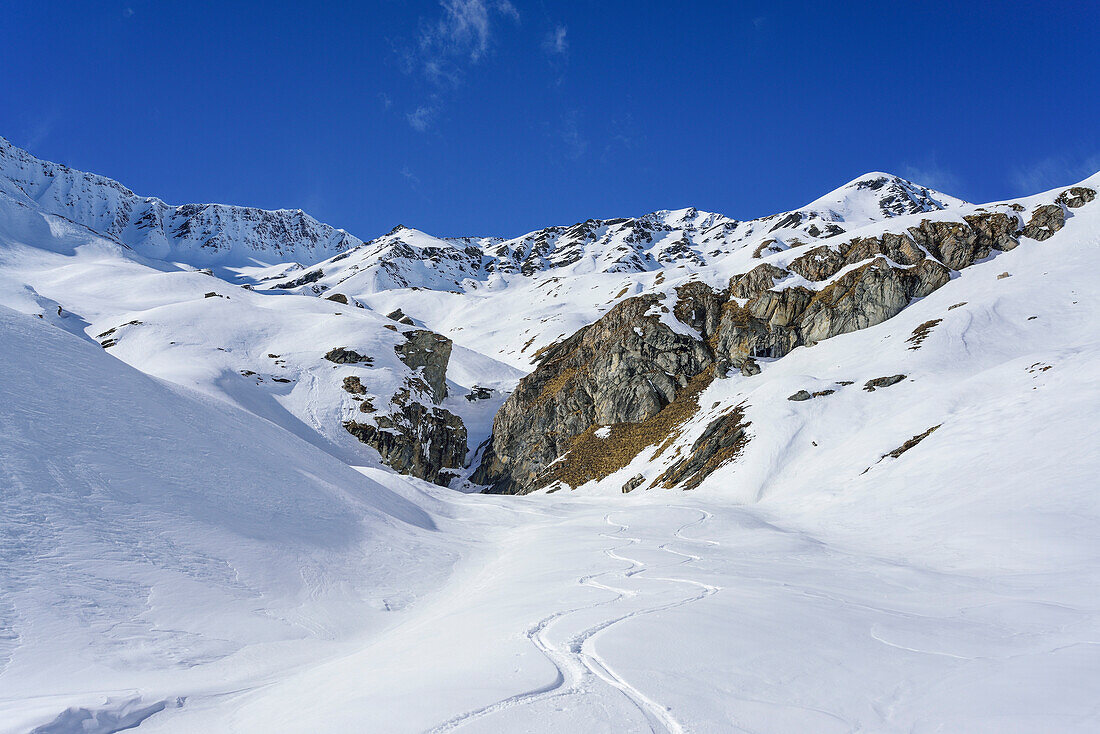 Skispuren am Monte Salza, Monte Salza, Valle Varaita, Cottische Alpen, Piemont, Italien