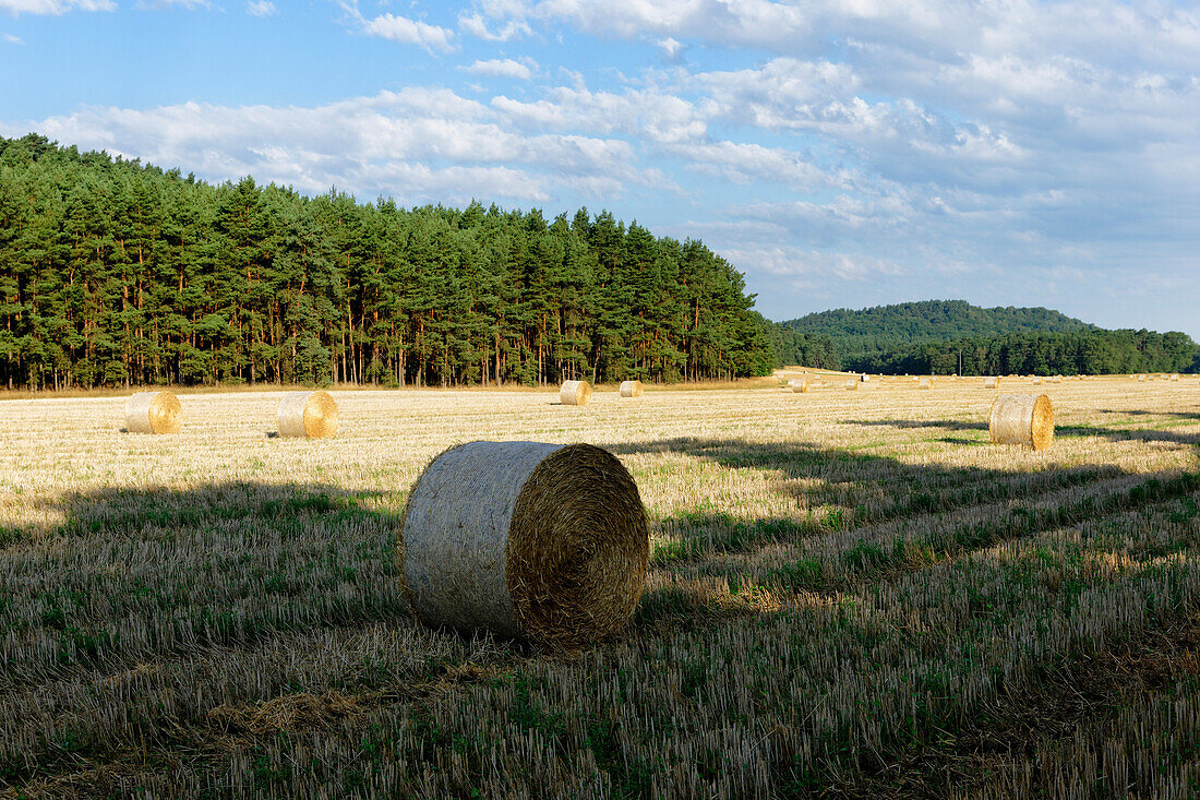 Stubble-Field in front of the Rhinow Mountains, near Rhinow, Brandenburg, Germany