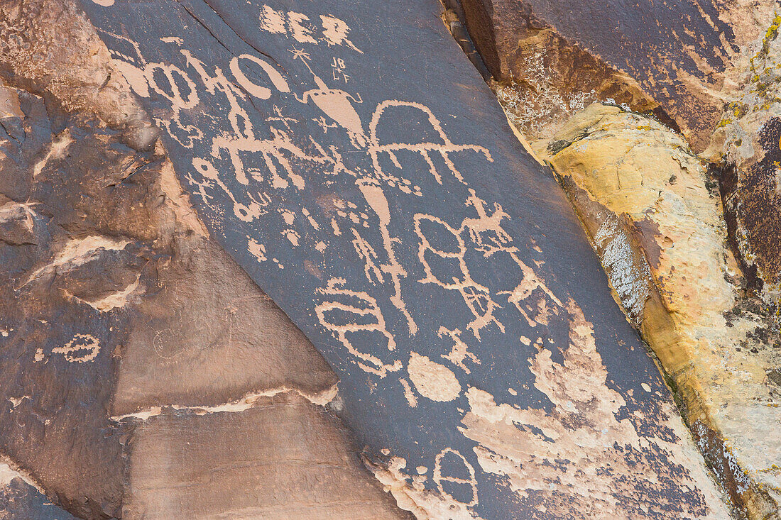 Newspaper Rock State Historical Monument, Petroglyphen, Utah, USA