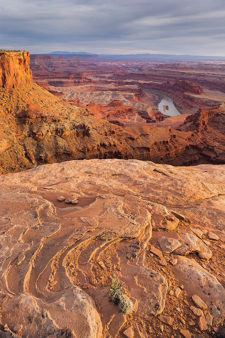 Dead Horse Point, Colorado River, Dead Horse Point State Park, Canyonlands National Park, Utah, USA