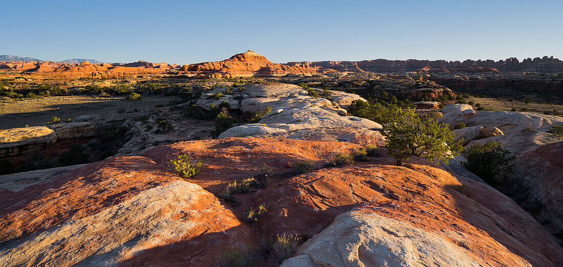 Needles District, Canyonlands National Park, Utah, USA