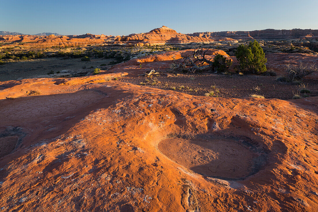 Needles District, Canyonlands National Park, Utah, USA