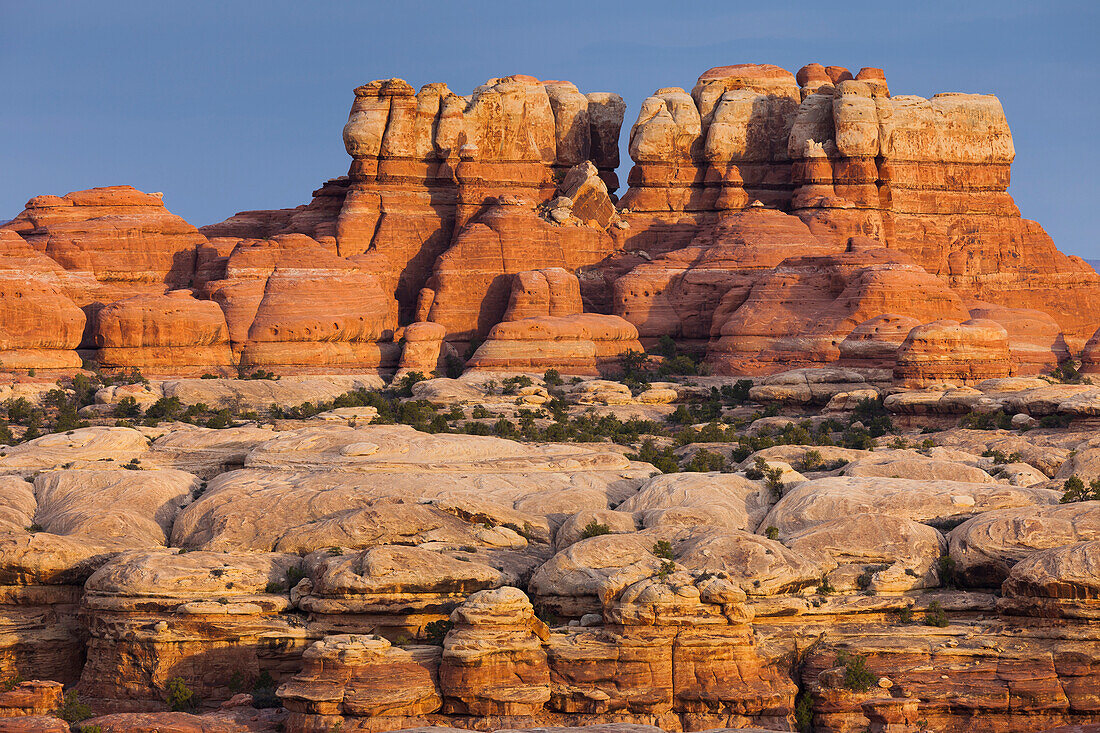 Needles District, Canyonlands National Park, Utah, USA