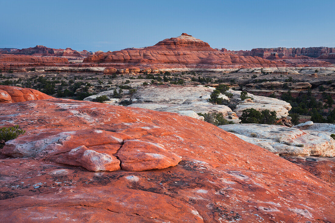 Needles District, Canyonlands National Park, Utah, USA