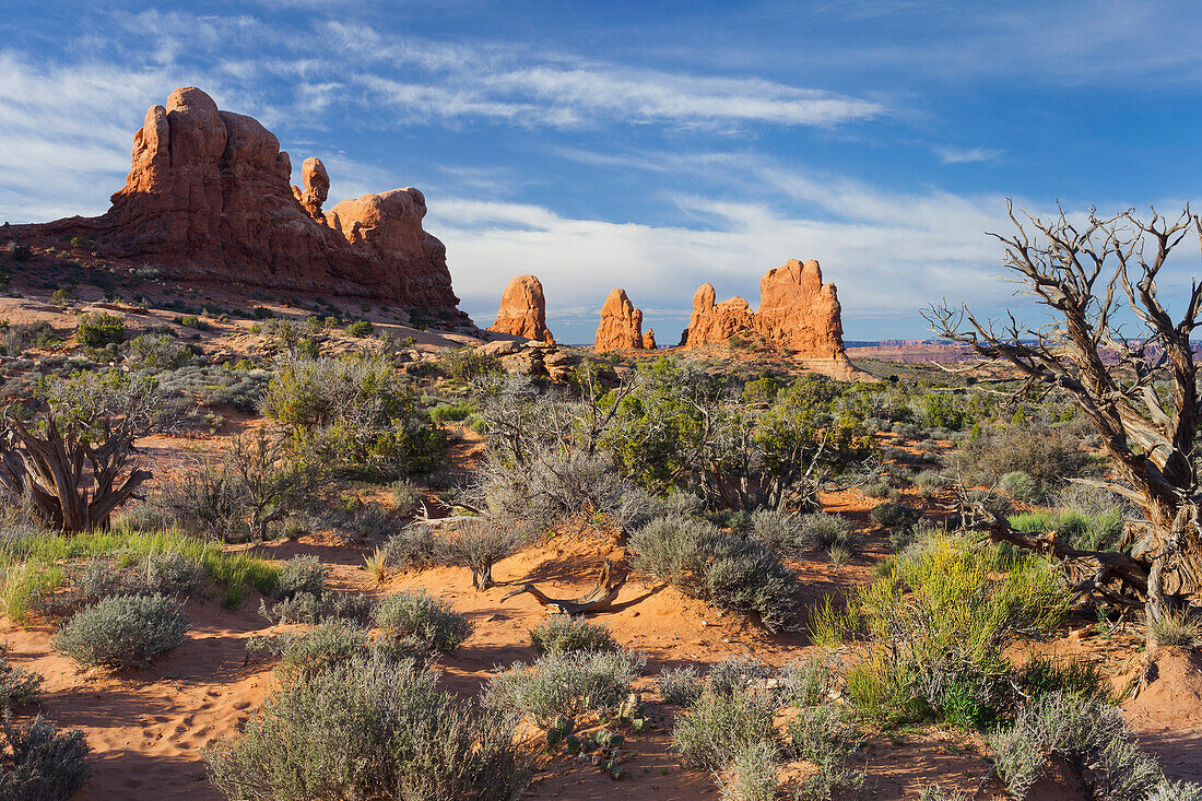 Elephant Butte, Arches National Park, Utah, USA