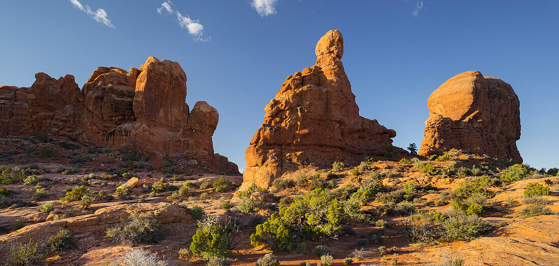 Sandsteinformationen, Garden of Eden, Elephant Butte, Arches National Park, Moab, Utah, USA