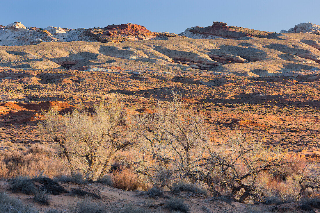 Wüste nahe der Wild Horse Road No1013, Utah, USA