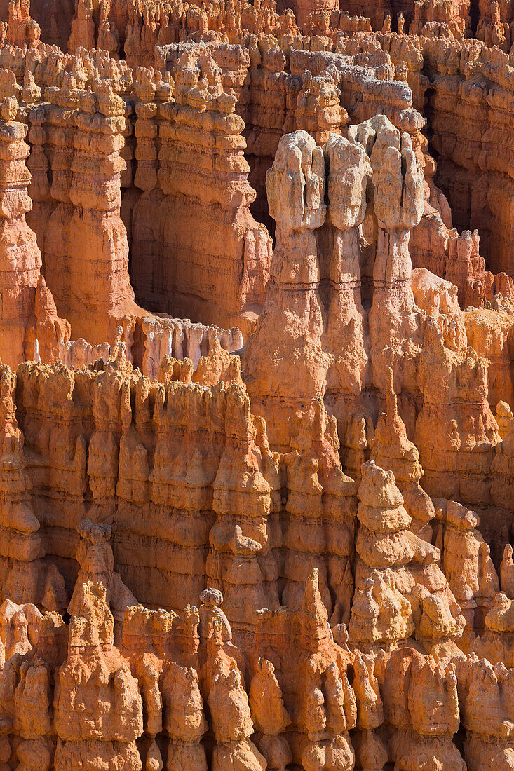 Hoodoos, Bryce Canyon National Park, Utah, USA