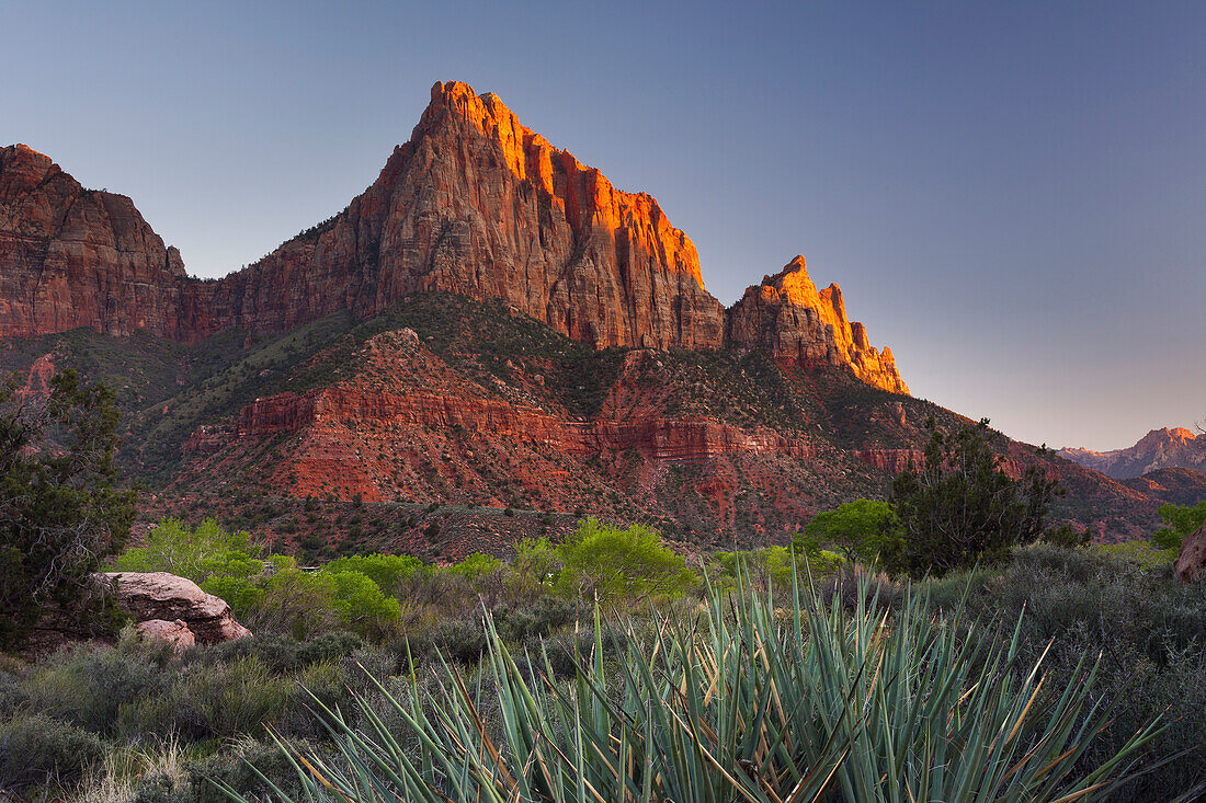 The Watchman, Zion National Park, Utah, USA