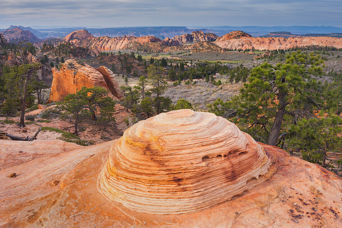 Gesteinsformationen am Lower Kolob Plateau, Zion National Park, Utah, USA