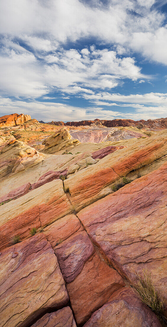 Sandstein, Valley of Fire State Park, Nevada, USA