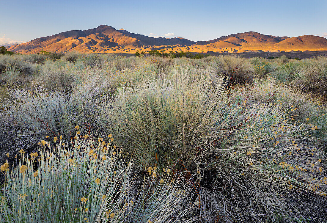 Owens River Valley, Sierra Nevada, California, USA