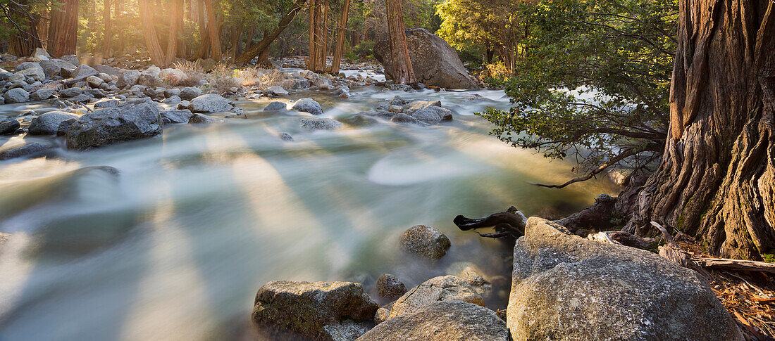 Yosemite Creek, Yosemite National Park, California, United States