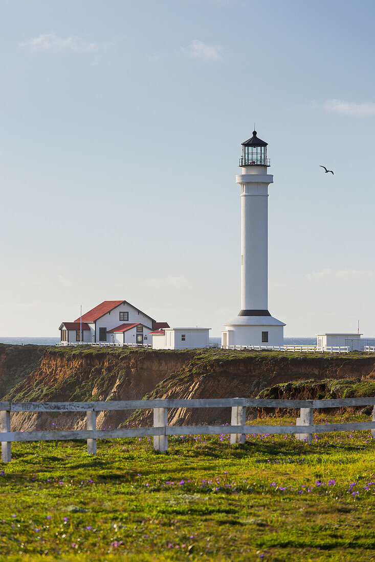 Point Arena Lighthouse and Museum, Arena Rock Marine Natural Preserve, Kalifornien, USA