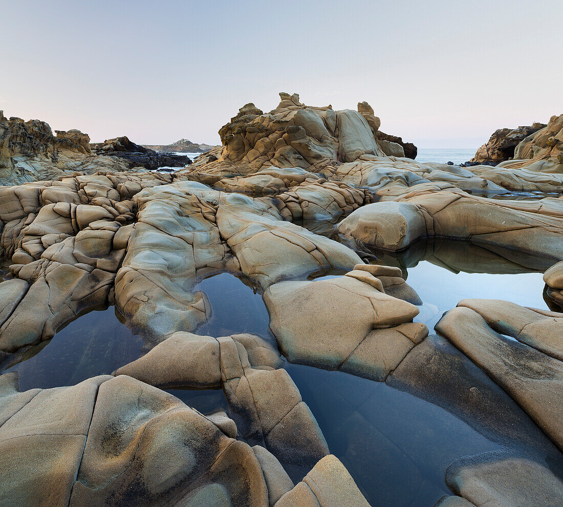 Sandstein, Salt Point State Park, Sonoma Coast, Kalifornien, USA