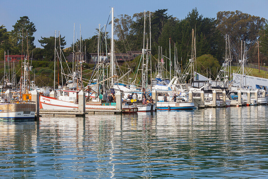 Spud Point Marina, Bodega Bay, Kalifornien, USA