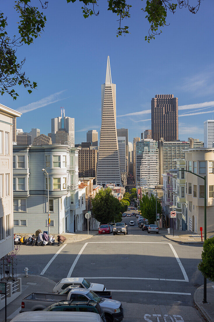 Montgomery Street, Transamerica Pyramid, Telegraph Hill, San Francisco, California