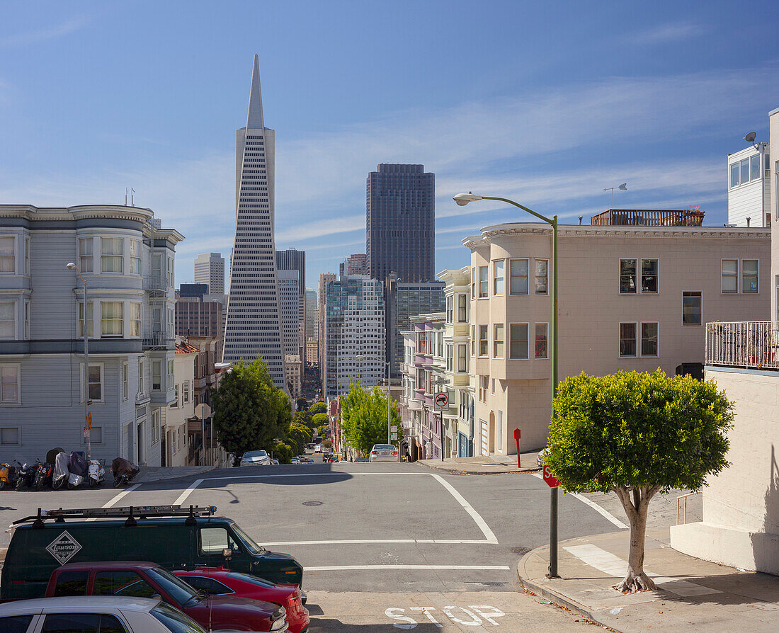 Montgomery Street, Transamerica Pyramid, Telegraph Hill, San Francisco, Kalifornien, USA