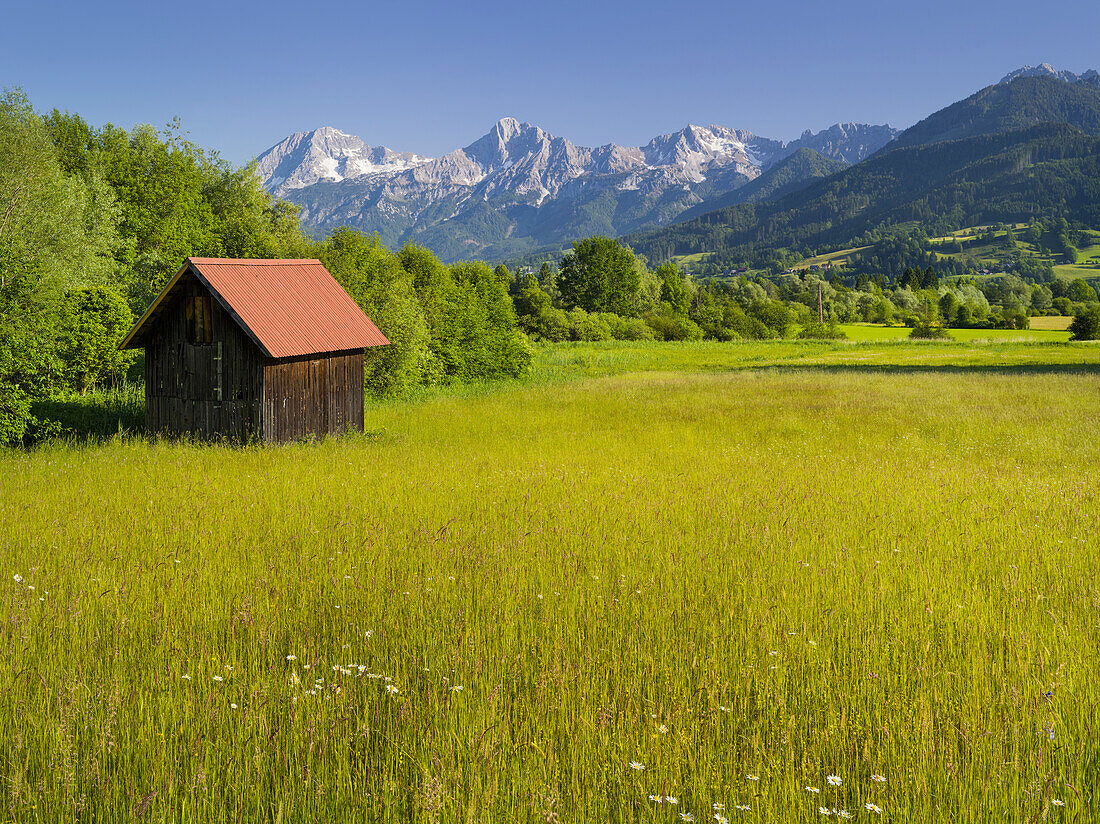 Wiese, Hütte, Haller Mauer, Ennstal, Steiermark, Österreich