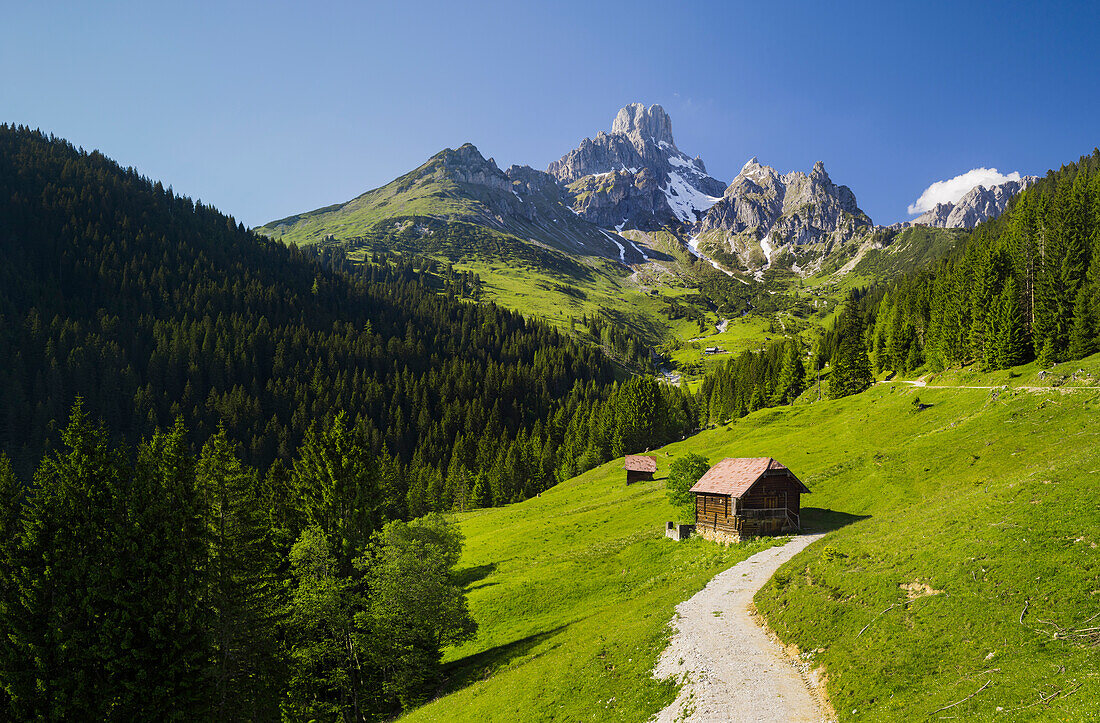 Bischofsmütze, Aualm, Filzmoos, Salzburg, Austria