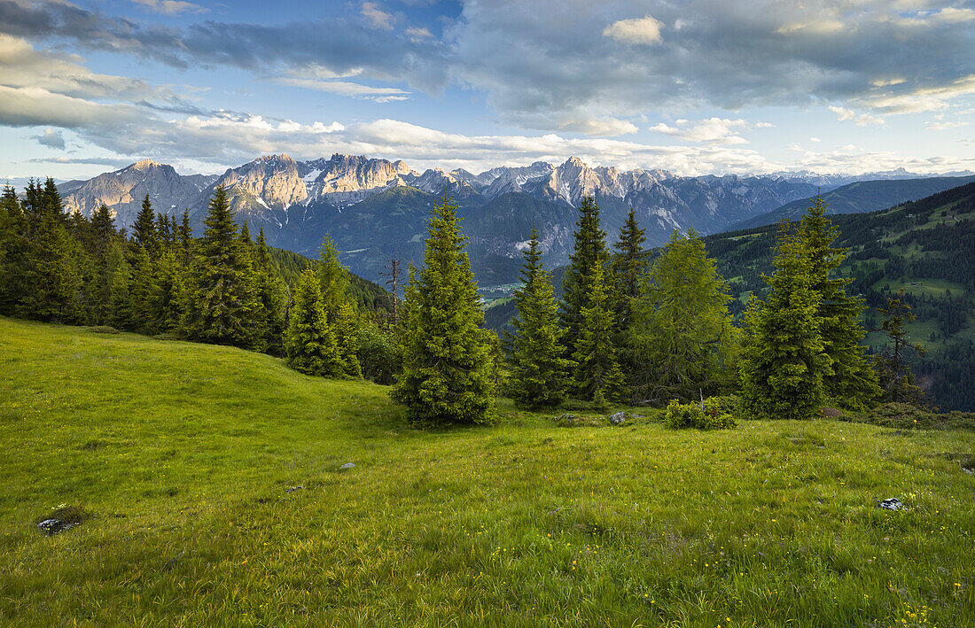 Winkleralm, Lienz Dolomites, East Tyrol, Tyrol, Austria