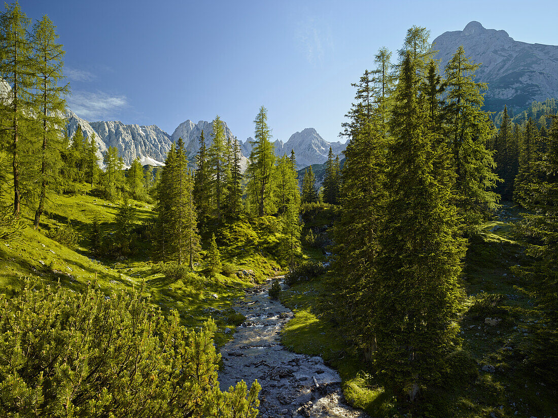 Geißbach, Mieminger Gebirge, Tirol, Österreich