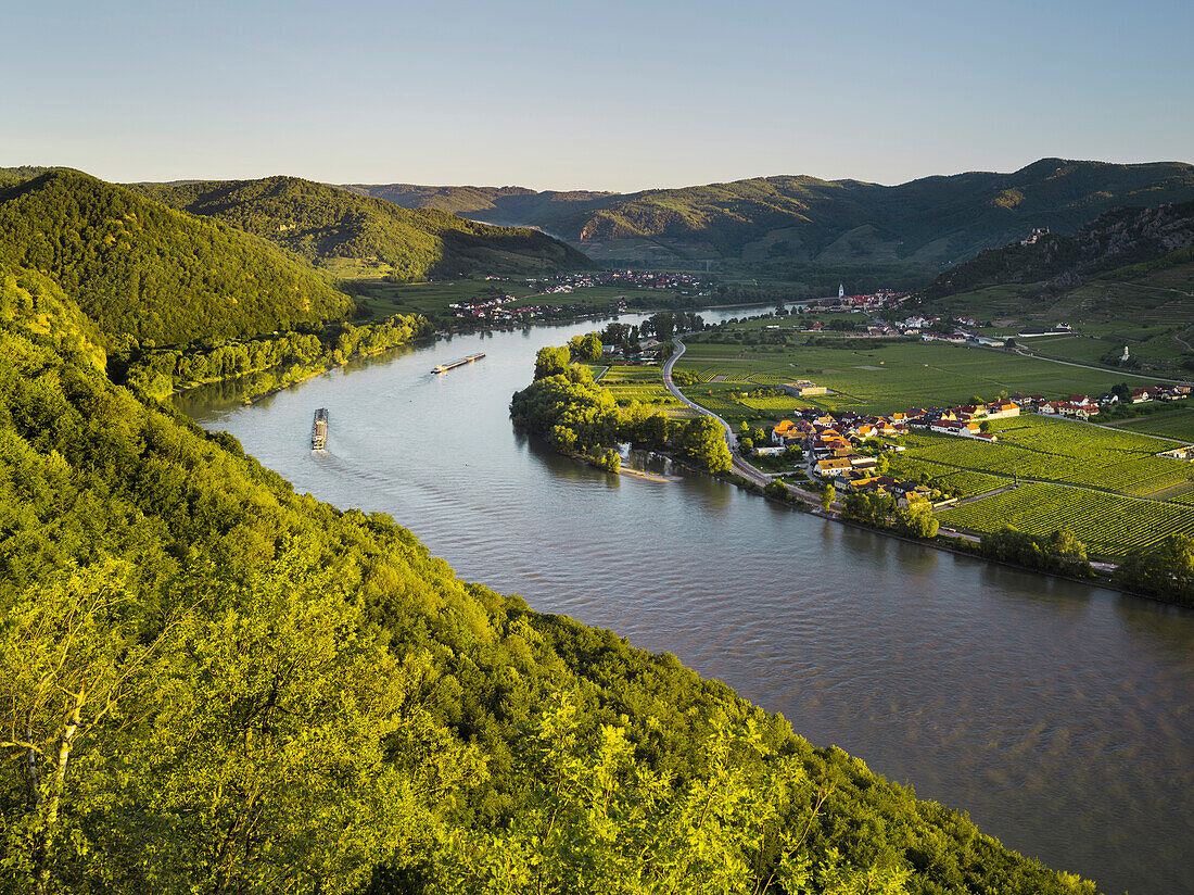 View from the Ferdinandswarte towards Oberloiben, Rossatz, Dürnstein, Danube, Wachau, Lower Austria, Austria