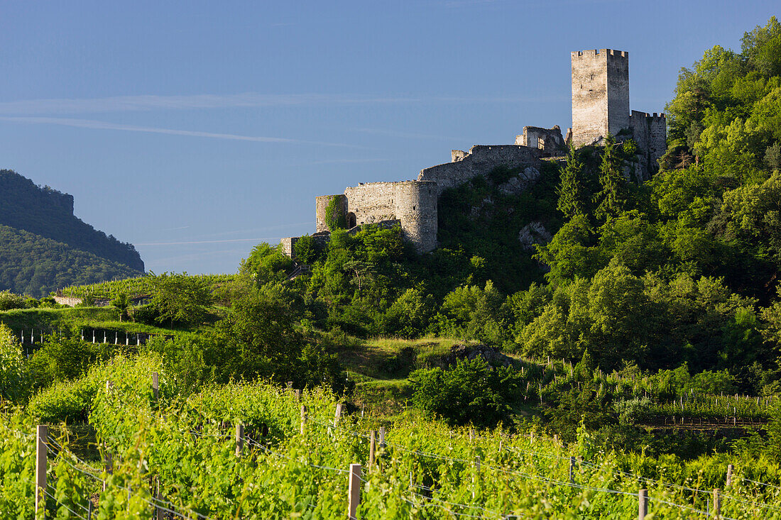 Ruine Hinterhaus, Spitz an der Donau, Wachau, Niederösterreich, Österreich