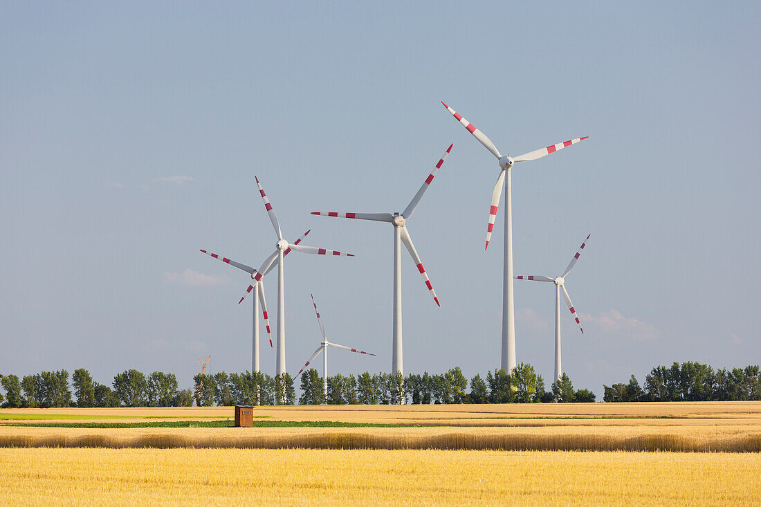 Windmills in the Vienna basin, near Fischamend, Lower Austria, Austria